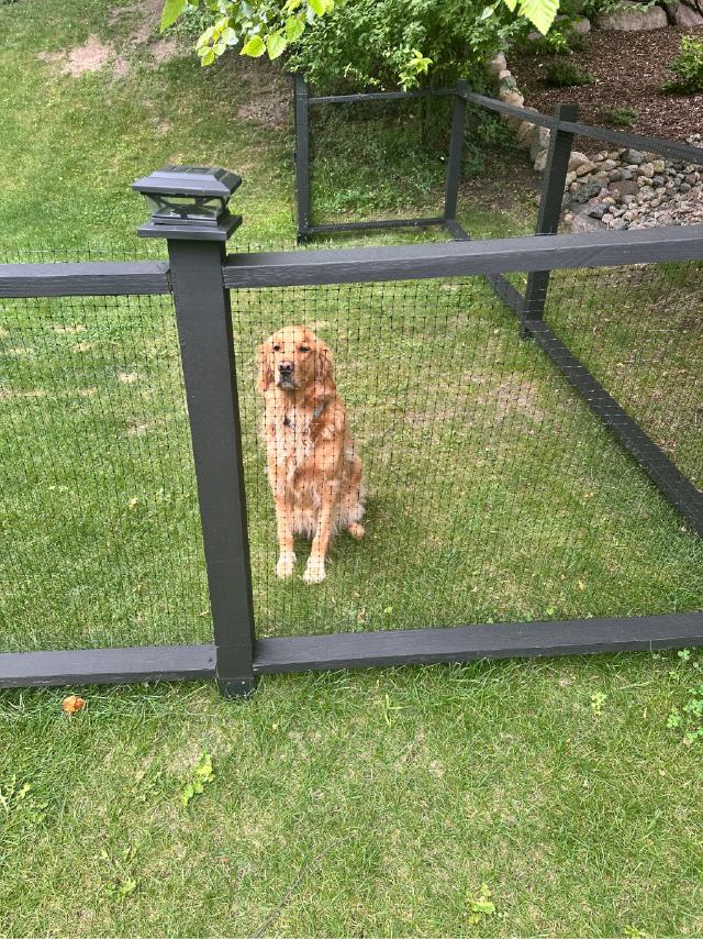 Alternate angle of finished fence
